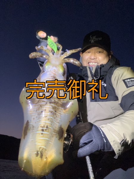 画像8: WILDCHASE 3.0号 /ピーコックＵＶ[監修:野田 広忠] (8)