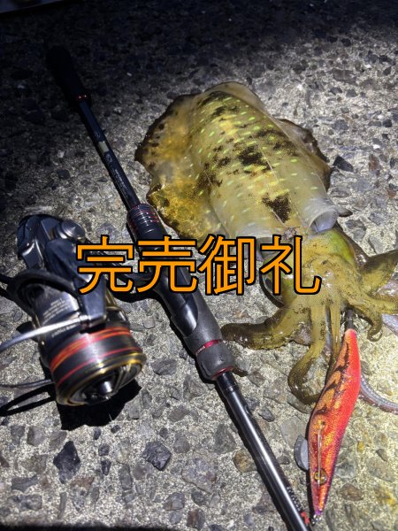 画像19: WILDCHASE 3.0号 /ピンクロビン[監修:藤本 奈浦子] (19)