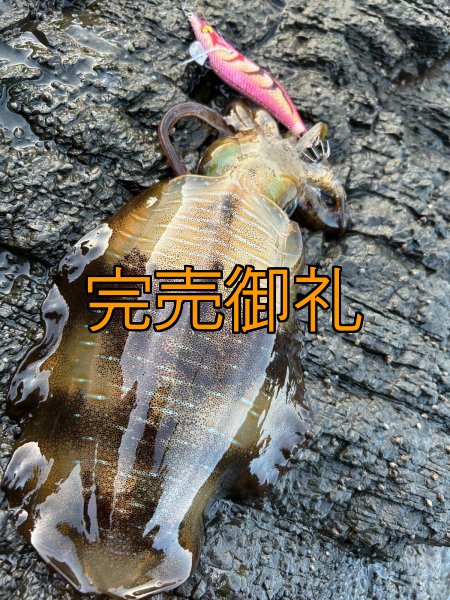 画像15: WILDCHASE 3.0号 /ピンクロビン[監修:藤本 奈浦子] (15)