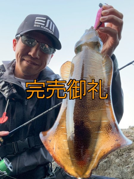 画像5: WILDCHASE 3.0号 /ピンクロビン[監修:藤本 奈浦子] (5)