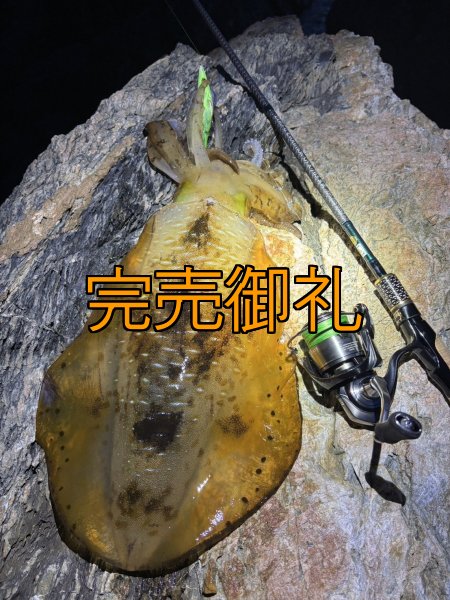 画像13: WILDCHASE 3.0号 /ピーコックＵＶ[監修:野田 広忠] (13)