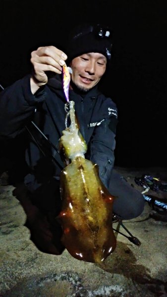 画像5: WILDCHASE 3.0号 /俺のフェニックス[監修:椿本 洋士] (5)