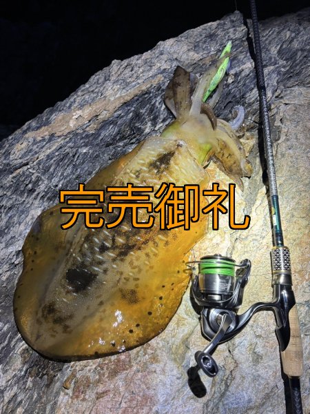 画像5: 【ARMY GRADATION】X8-PE 0.5-210m  (5)