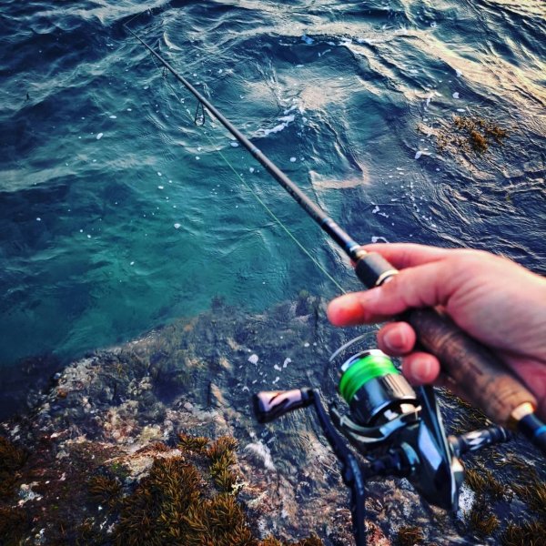 画像10: 【ARMY GRADATION】X8-PE 0.4-240m  (10)