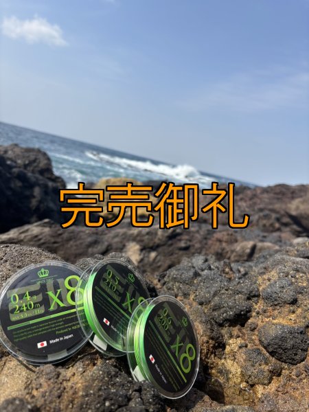 画像10: 【ARMY GRADATION】X8-PE 0.5-210m  (10)