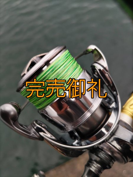 画像7: 【ARMY GRADATION】X8-PE 0.5-210m  (7)