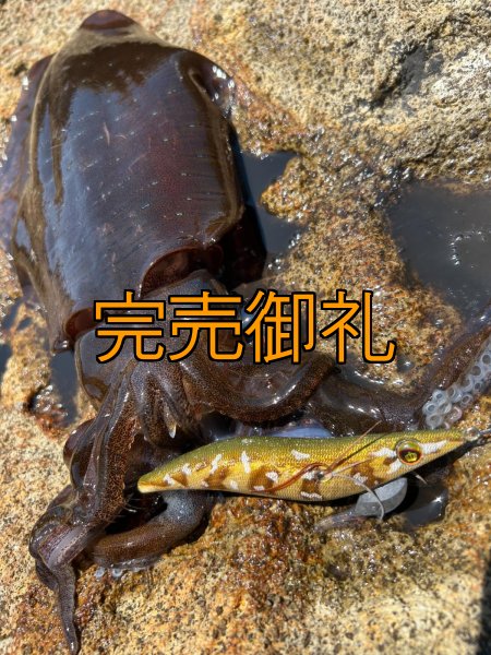 画像16: WILDCHASE 3.5号シャローtune /斑緑龍[監修:椿本 洋士] (16)