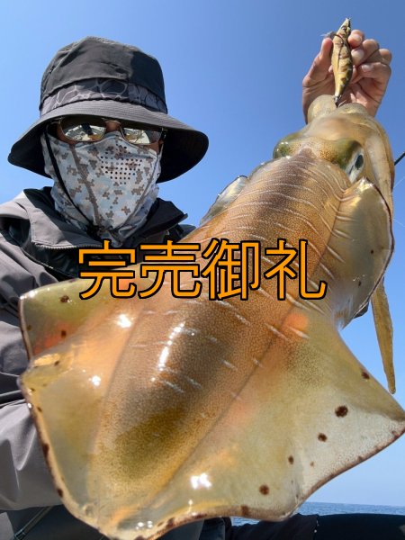 画像11: WILDCHASE 3.5号シャローtune /斑緑龍[監修:椿本 洋士] (11)