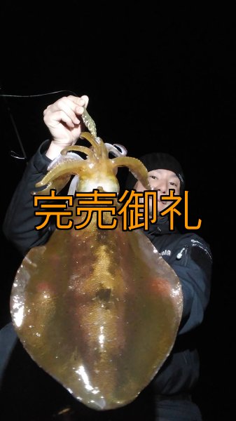 画像8: WILDCHASE 3.5号シャローtune /斑緑龍[監修:椿本 洋士] (8)