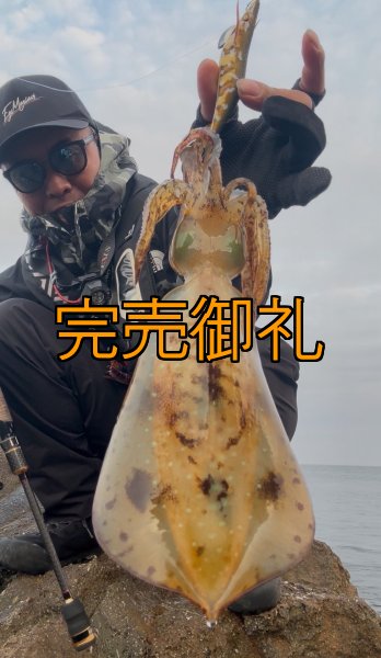 画像7: WILDCHASE 3.5号シャローtune /斑緑龍[監修:椿本 洋士] (7)