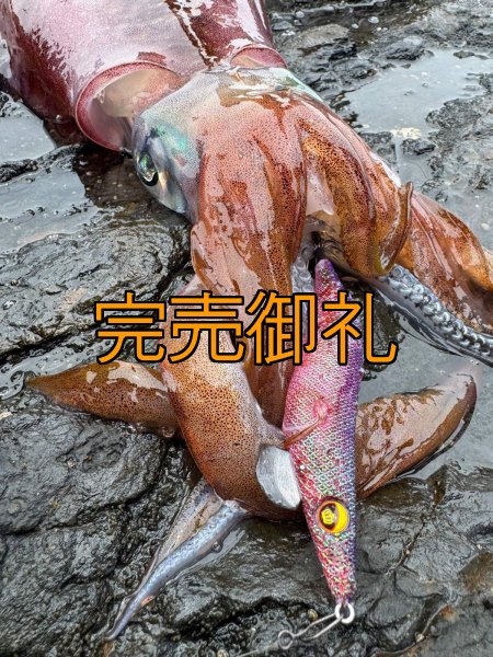 画像6: WILDCHASE 3.5号シャローtune /魅惑のチェリーパイソンＵＶ[監修:椿本 洋士] (6)