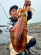 画像1: WILDCHASE 3.0号 /魅惑のチェリーパイソンＵＶ[監修:椿本 洋士] (1)