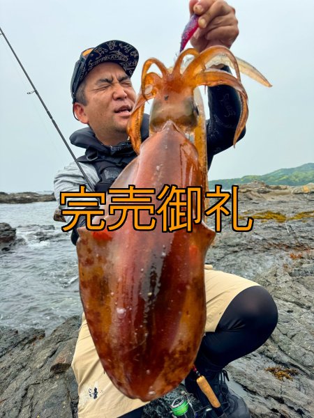 画像1: WILDCHASE 3.0号 /魅惑のチェリーパイソンＵＶ[監修:椿本 洋士] (1)
