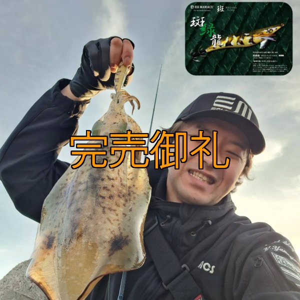 画像5: WILDCHASE 3.5号シャローtune /斑緑龍[監修:椿本 洋士] (5)