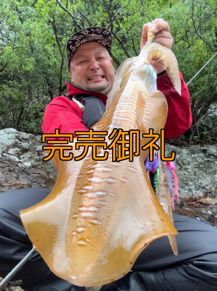 画像3: WILDCHASE 3.5号シャローtune /斑緑龍[監修:椿本 洋士] (3)