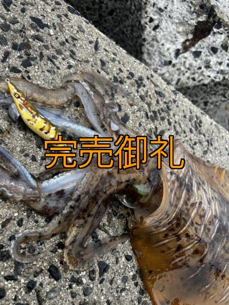 画像13: WILDCHASE 3.5号シャローtune /斑緑龍[監修:椿本 洋士] (13)