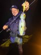 画像2: WILDCHASE 3.0号 /斑緑龍[監修:椿本 洋士] (2)
