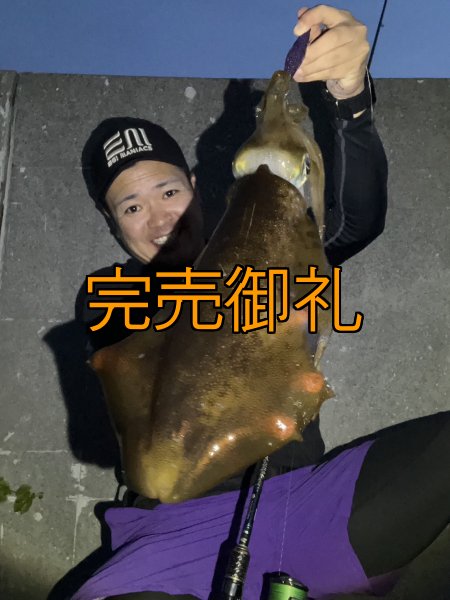 画像4: WILDCHASE 3.5号シャローtune /魅惑のチェリーパイソンＵＶ[監修:椿本 洋士] (4)