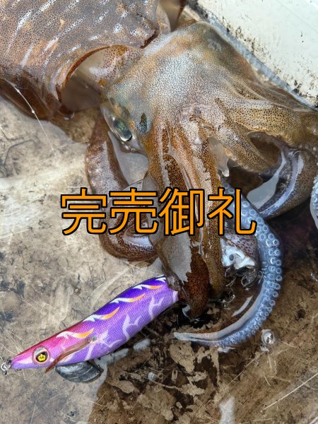 画像10: WILDCHASE 3.5号シャローtune/モンスターパープル [特注:EGI MANIACS] (10)