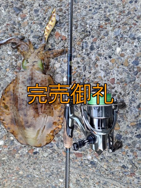 画像19: WILDCHASE 3.5号シャローtune /斑緑龍[監修:椿本 洋士] (19)