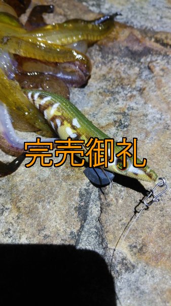 画像15: WILDCHASE 3.5号シャローtune /斑緑龍[監修:椿本 洋士] (15)