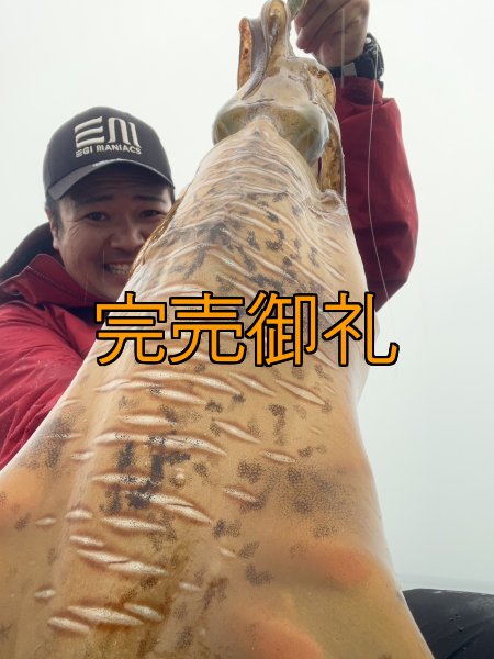 画像4: WILDCHASE 3.5号シャローtune /斑緑龍[監修:椿本 洋士] (4)