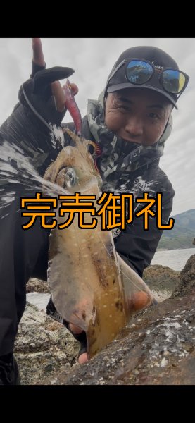 画像9: WILDCHASE 3.5号シャローtune /斑緑龍[監修:椿本 洋士] (9)