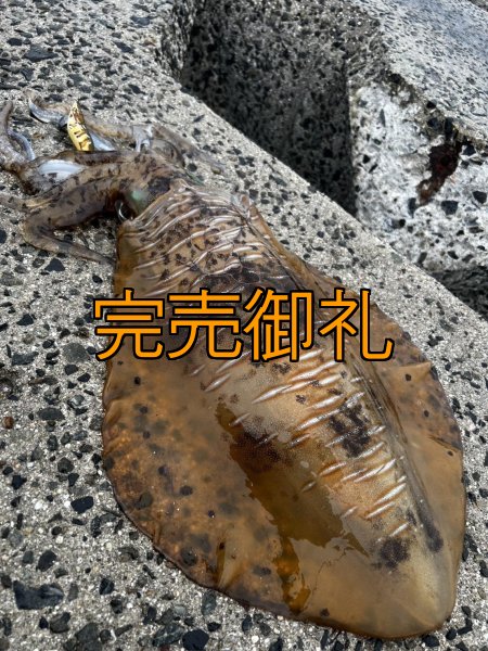 画像14: WILDCHASE 3.5号シャローtune /斑緑龍[監修:椿本 洋士] (14)