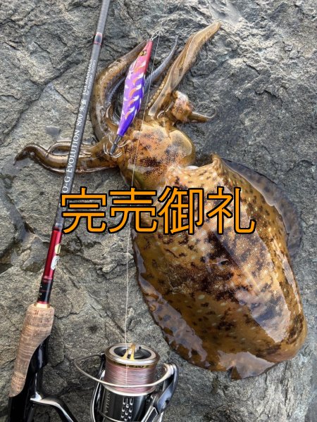 画像15: WILDCHASE 3.5号シャローtune/モンスターパープル [特注:EGI MANIACS] (15)