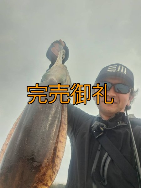 画像10: WILDCHASE 3.5号シャローtune /斑緑龍[監修:椿本 洋士] (10)