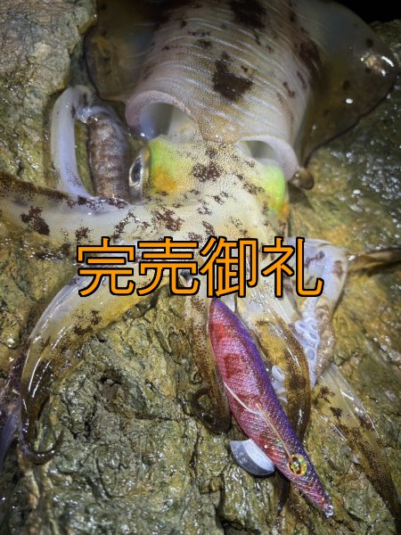 画像9: WILDCHASE 3.5号シャローtune /魅惑のチェリーパイソンＵＶ[監修:椿本 洋士] (9)