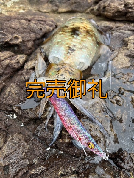 画像10: WILDCHASE 3.5号シャローtune /魅惑のチェリーパイソンＵＶ[監修:椿本 洋士] (10)