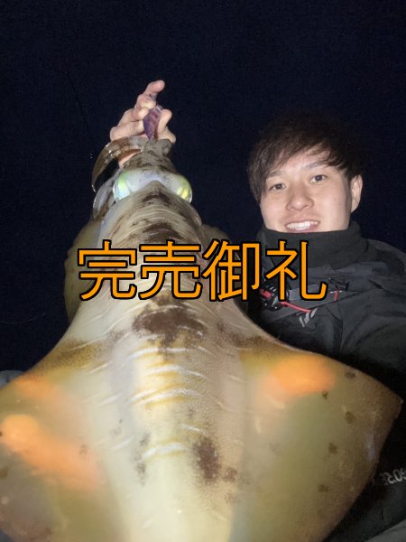 画像3: WILDCHASE 3.5号シャローtune /魅惑のチェリーパイソンＵＶ[監修:椿本 洋士] (3)