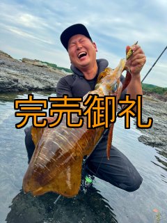 WILD CHASE 特注 - 大阪エギングショップ EGI MANIACS (Page 1)