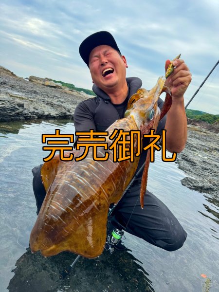 画像1: WILDCHASE 3.5号シャローtune /斑緑龍[監修:椿本 洋士] (1)