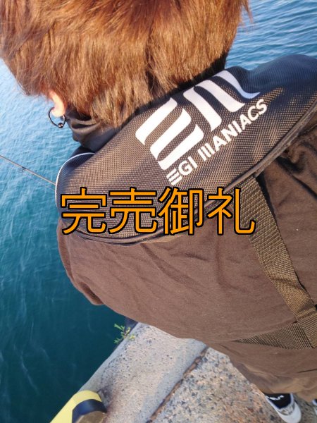 画像7: エギマニ新CORDURAライフベスト 国土交通省型式承認品【別注ブルーストーム】 (7)