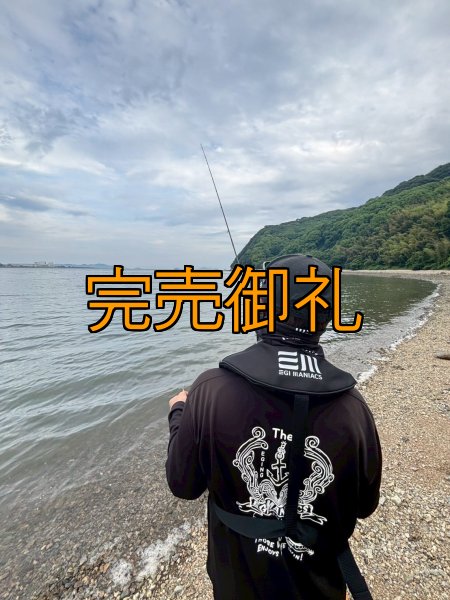 画像6: エギマニ新CORDURAライフベスト 国土交通省型式承認品【別注ブルーストーム】 (6)