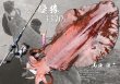 画像4: DIGITAL魚拓/イカ拓制作依頼 (4)