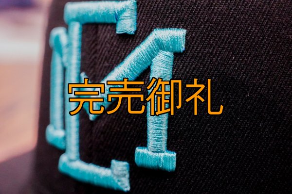 画像18: ★送料無料★ＥＭクロス３Ｄ刺繍ストレッチフラットキャップ (18)