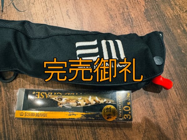 画像4: エギマニ新CORDURA 刺繍ティバノウエスト 国土交通省型式承認品【別注ブルーストーム】 (4)