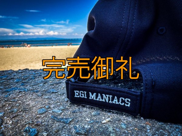 画像13: ★送料無料★ＥＭクロス３Ｄ刺繍ストレッチ/カーブCAP (13)