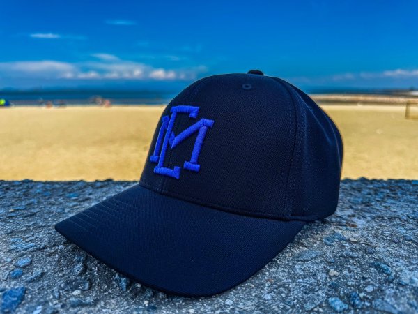 画像2: ★送料無料★EMクロス3D刺繍ストレッチ/カーブCAP (2)