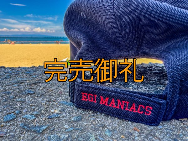 画像7: ★送料無料★ＥＭクロス３Ｄ刺繍ストレッチ/カーブCAP (7)