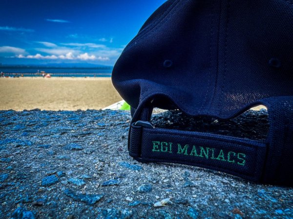 画像10: ★送料無料★EMクロス3D刺繍ストレッチ/カーブCAP (10)