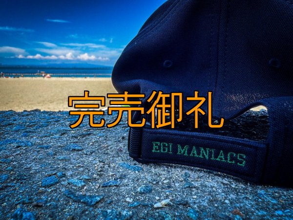 画像10: ★送料無料★ＥＭクロス３Ｄ刺繍ストレッチ/カーブCAP (10)