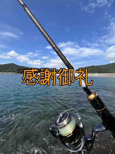 画像3: FINAL 13%OFF『魅黒/パールWHITE』ZERO-G EVOLUTION  GVX 803 白虎 MX  [別注EGI MANIACS] (3)