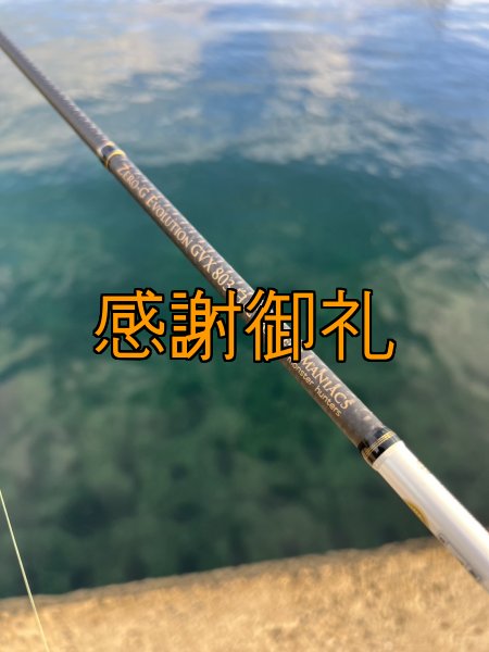 画像2: FINAL 13%OFF『魅黒/パールWHITE』ZERO-G EVOLUTION  GVX 803 白虎 MX  [別注EGI MANIACS] (2)