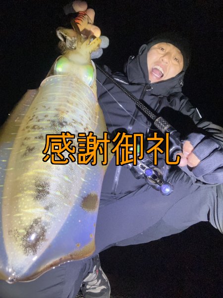 画像6: FINAL 13%OFF『魅黒/パールWHITE』ZERO-G EVOLUTION  GVX 803 白虎 MX  [別注EGI MANIACS] (6)