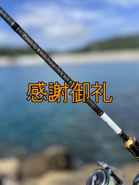 画像4: FINAL 13%OFF『魅黒/パールWHITE』ZERO-G EVOLUTION  GVX 803 白虎 MX  [別注EGI MANIACS] (4)