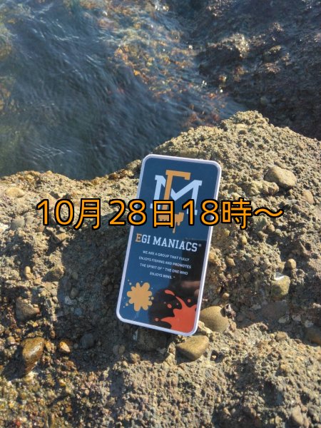 画像6: 送料無料エギマニ マルチケース(小物用) (6)